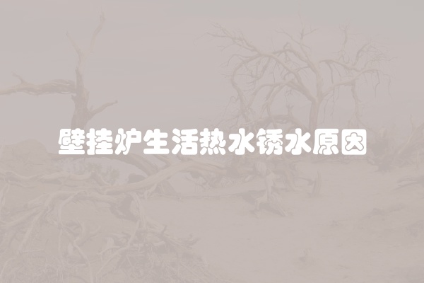 壁挂炉生活热水锈水原因