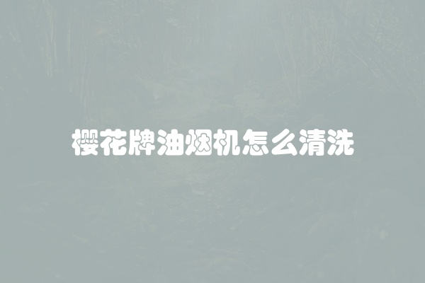 樱花牌油烟机怎么清洗