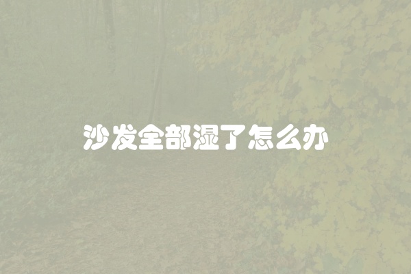 沙发全部湿了怎么办