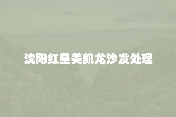 沈阳红星美凯龙沙发处理