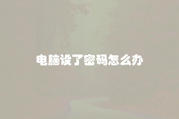 电脑设了密码怎么办