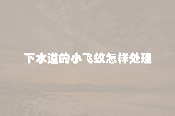 下水道的小飞蚊怎样处理