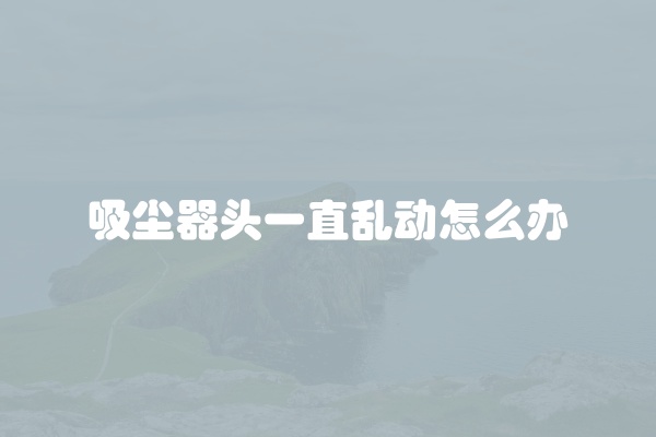 吸尘器头一直乱动怎么办
