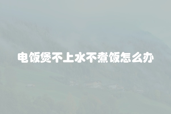 松下洗衣机风机故障