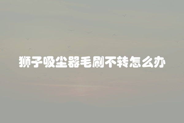 狮子吸尘器毛刷不转怎么办