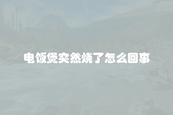 松下洗衣机风机故障