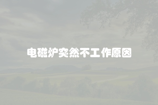 电磁炉突然不工作原因
