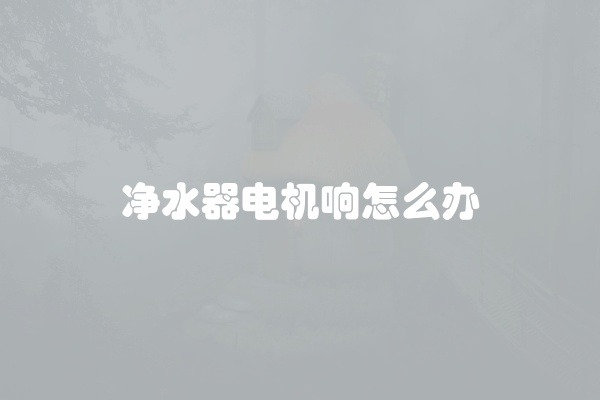 净水器电机响怎么办