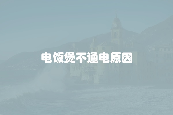 电饭煲不通电原因
