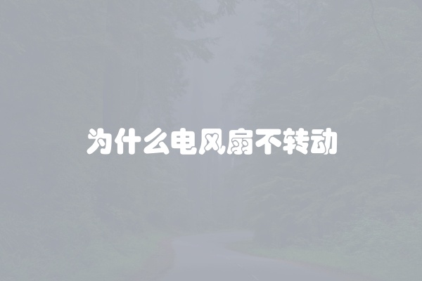 为什么电风扇不转动