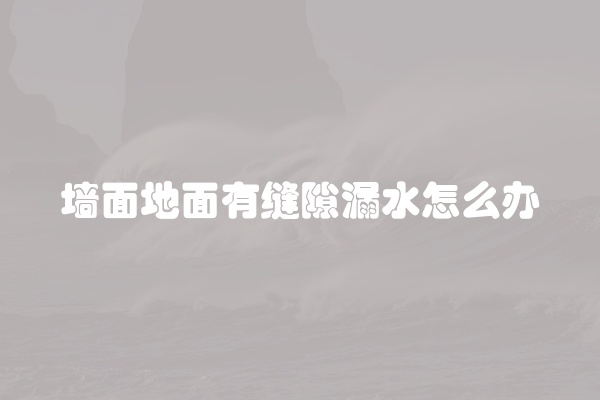 墙面地面有缝隙漏水怎么办