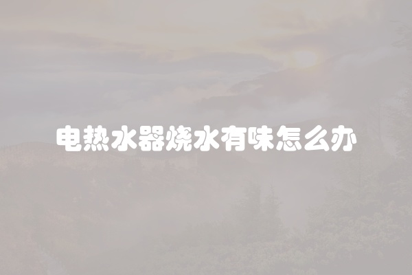 电热水器烧水有味怎么办