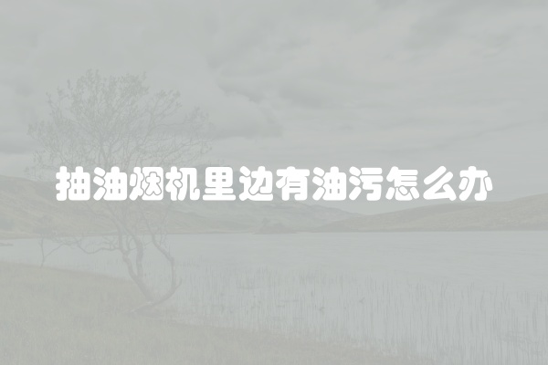 抽油烟机里边有油污怎么办