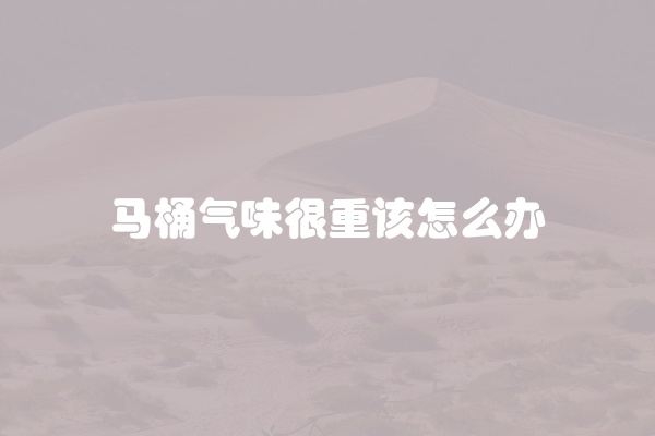 马桶气味很重该怎么办