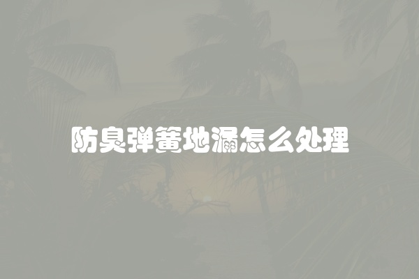 防臭弹簧地漏怎么处理