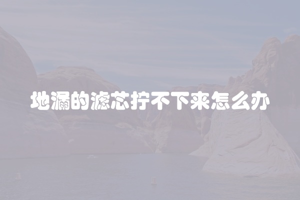 地漏的滤芯拧不下来怎么办