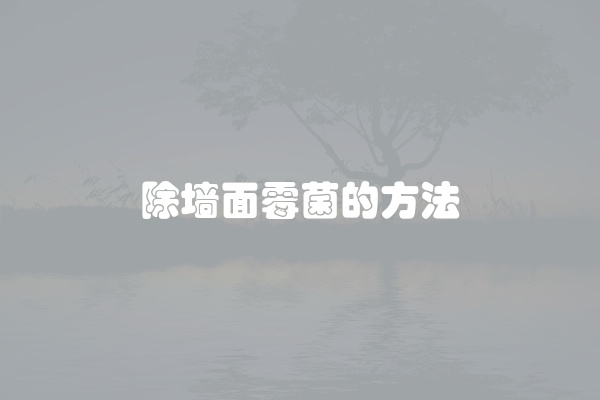 除墙面霉菌的方法