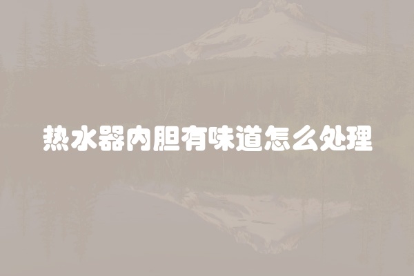 热水器内胆有味道怎么处理