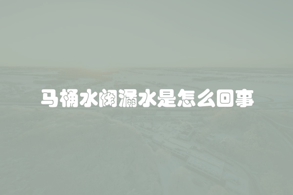 电脑组装显示器黑屏怎么办