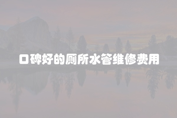 碗片堵住厕所怎么办