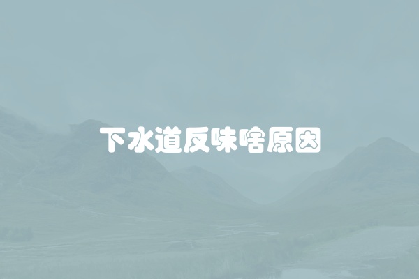 下水道反味啥原因