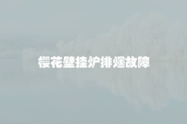 樱花壁挂炉排烟故障