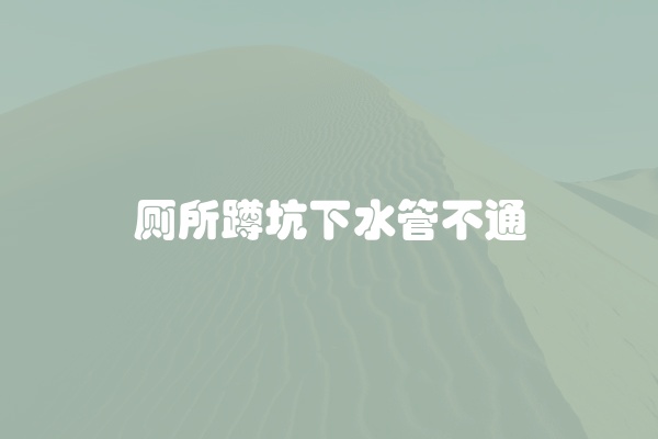 碗片堵住厕所怎么办