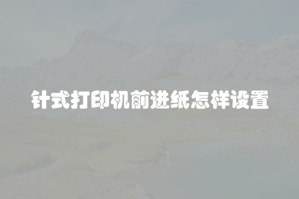 针式打印机前进纸怎样设置