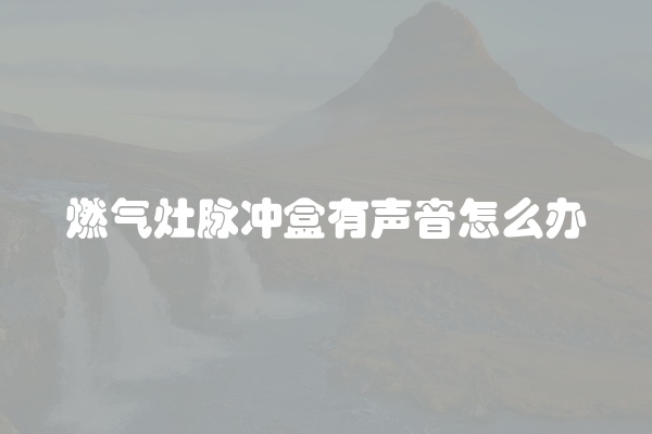 燃气灶脉冲盒有声音怎么办