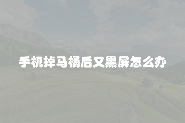 电脑组装显示器黑屏怎么办