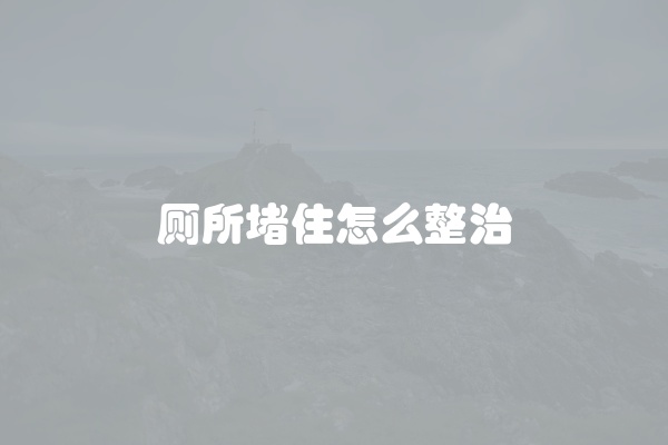 碗片堵住厕所怎么办