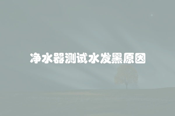 电脑组装显示器黑屏怎么办