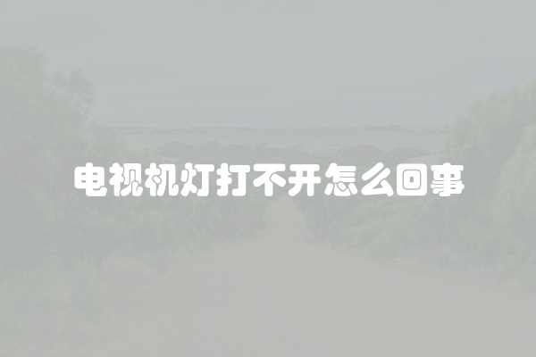 电视机灯打不开怎么回事
