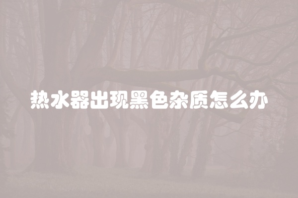 热水器出现黑色杂质怎么办
