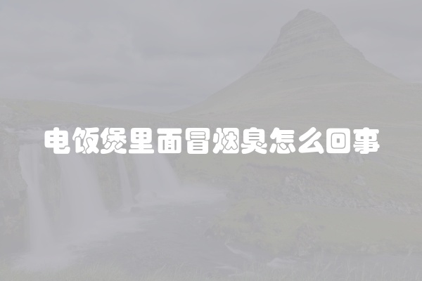 电饭煲里面冒烟臭怎么回事