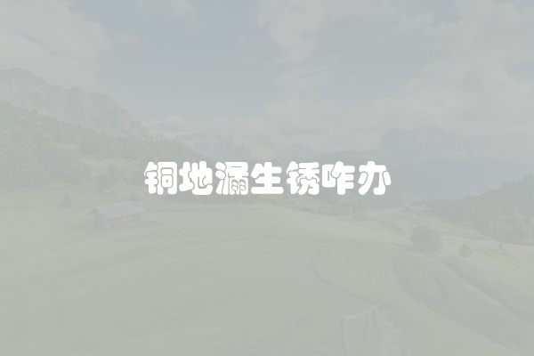 电脑组装显示器黑屏怎么办