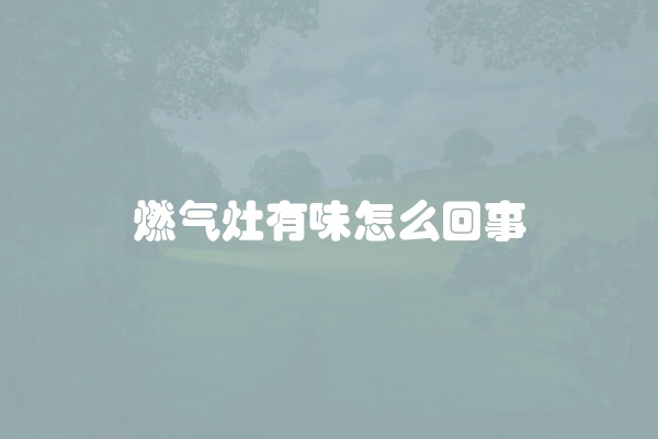 燃气灶有味怎么回事