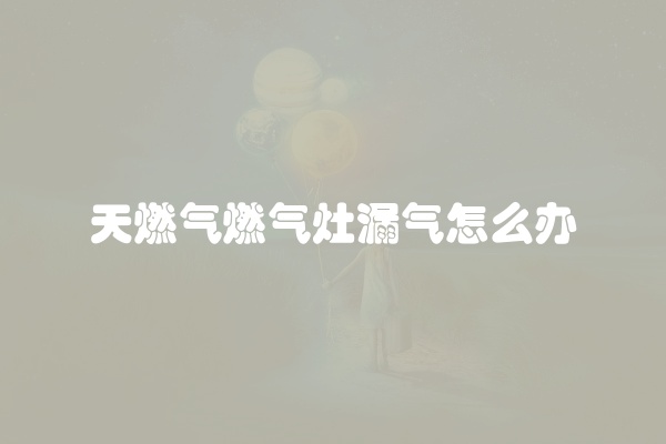 天燃气燃气灶漏气怎么办