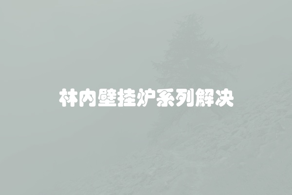 林内壁挂炉系列解决