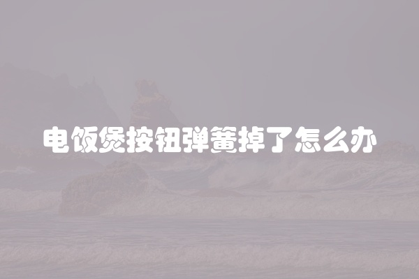电饭煲按钮弹簧掉了怎么办