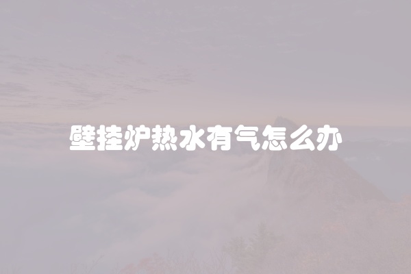 壁挂炉热水有气怎么办