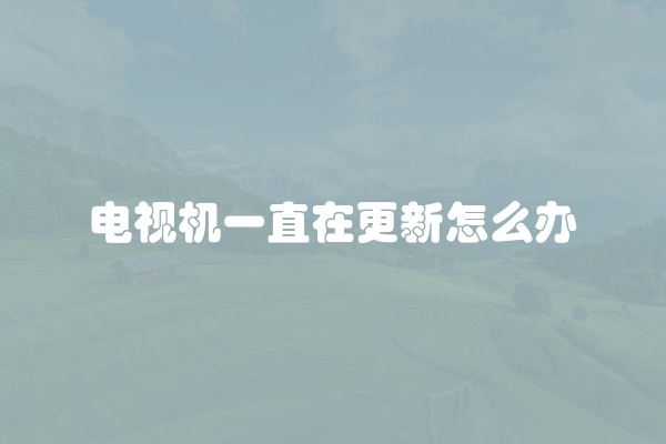 电脑组装显示器黑屏怎么办