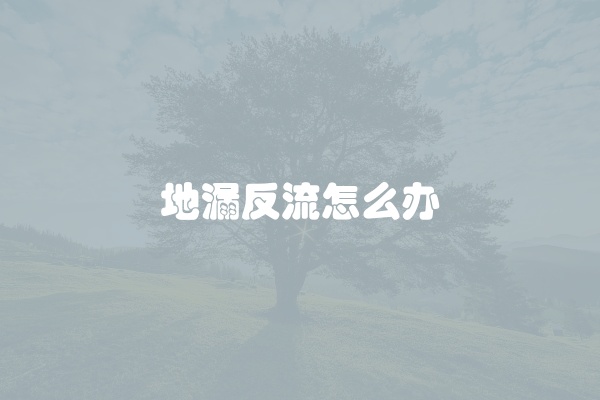 电脑组装显示器黑屏怎么办