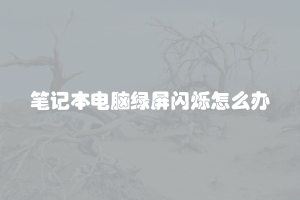 笔记本电脑绿屏闪烁怎么办