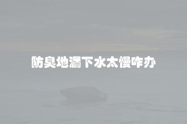 防臭地漏下水太慢咋办