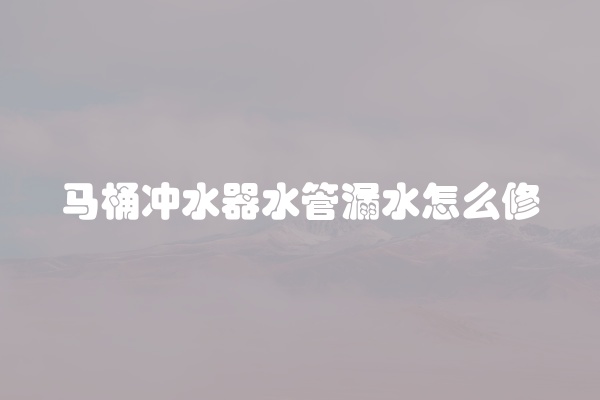 马桶冲水器水管漏水怎么修