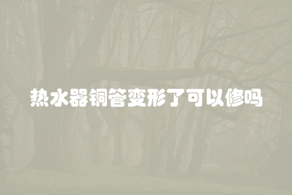 电脑组装显示器黑屏怎么办