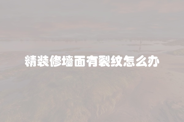 电脑组装显示器黑屏怎么办