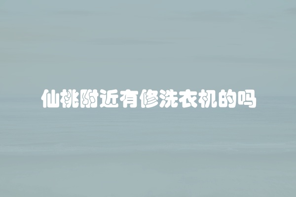 仙桃附近有修洗衣机的吗