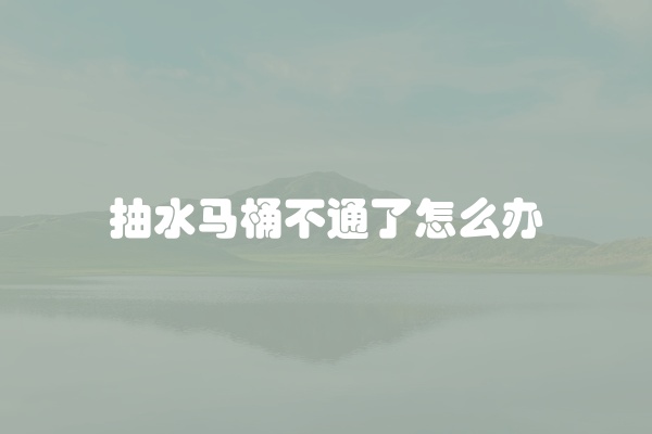 抽水马桶不通了怎么办